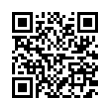 QR Code (код быстрого отклика)