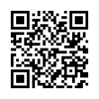 QR Code (код быстрого отклика)