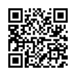 QR Code (код быстрого отклика)