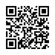 QR Code (код быстрого отклика)