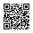 QR Code (код быстрого отклика)