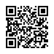 QR Code (код быстрого отклика)