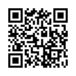 QR Code (код быстрого отклика)