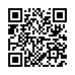 QR Code (код быстрого отклика)