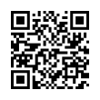 QR Code (код быстрого отклика)