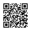 QR Code (код быстрого отклика)