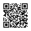 QR Code (код быстрого отклика)