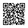 QR Code (код быстрого отклика)