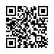 QR Code (код быстрого отклика)