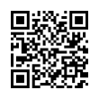 QR Code (код быстрого отклика)