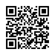 QR Code (код быстрого отклика)