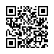 QR Code (код быстрого отклика)