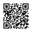 QR Code (код быстрого отклика)