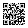 QR Code (код быстрого отклика)