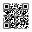 QR Code (код быстрого отклика)