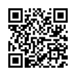 QR Code (код быстрого отклика)