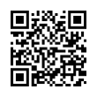 QR Code (код быстрого отклика)