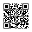 QR Code (код быстрого отклика)