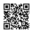 QR Code (код быстрого отклика)