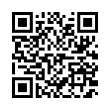 QR Code (код быстрого отклика)