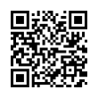 QR Code (код быстрого отклика)