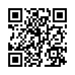 QR Code (код быстрого отклика)