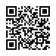 QR Code (код быстрого отклика)