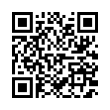 QR Code (код быстрого отклика)