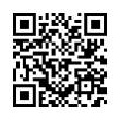 QR Code (код быстрого отклика)