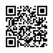 QR Code (код быстрого отклика)