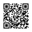 QR Code (код быстрого отклика)