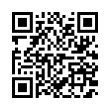 QR Code (код быстрого отклика)