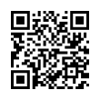 QR Code (код быстрого отклика)