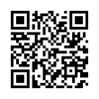 QR Code (код быстрого отклика)