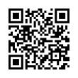 QR Code (код быстрого отклика)