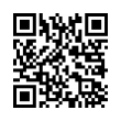 QR Code (код быстрого отклика)