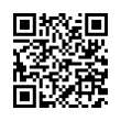 QR Code (код быстрого отклика)