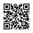 QR Code (код быстрого отклика)