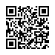 QR Code (код быстрого отклика)