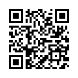 QR Code (код быстрого отклика)