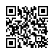 QR Code (код быстрого отклика)