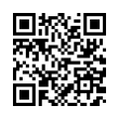 QR Code (код быстрого отклика)