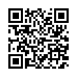 QR Code (код быстрого отклика)