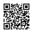 QR Code (код быстрого отклика)