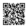 QR Code (код быстрого отклика)