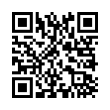 QR Code (код быстрого отклика)