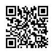 QR Code (код быстрого отклика)