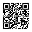 QR Code (код быстрого отклика)