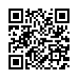 QR Code (код быстрого отклика)