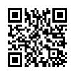 QR Code (код быстрого отклика)